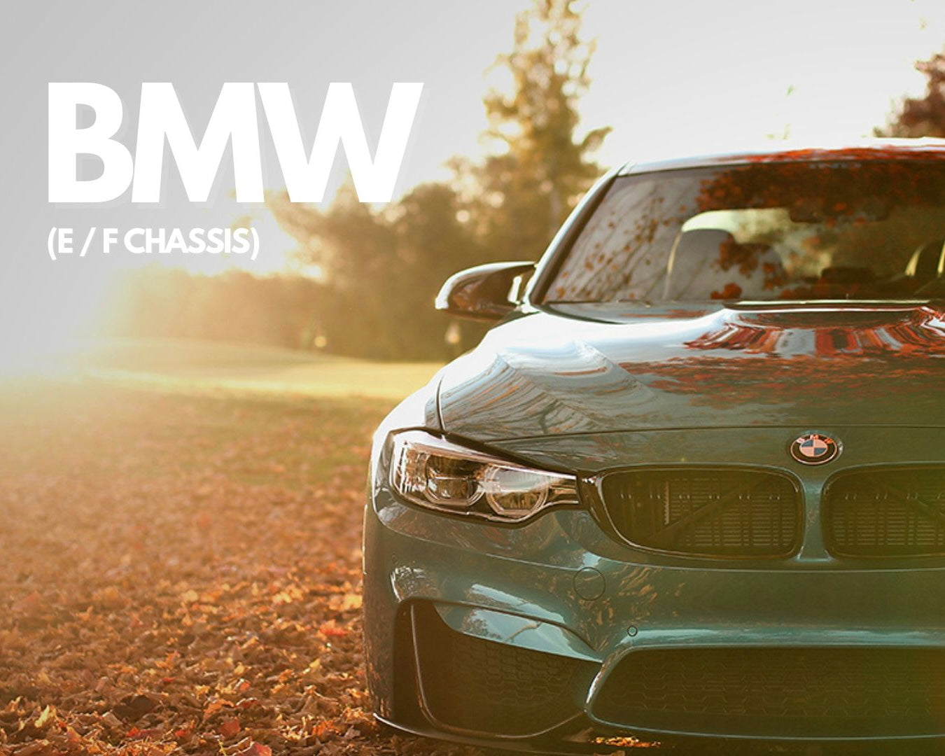 BMW CarPlay & Android Auto
